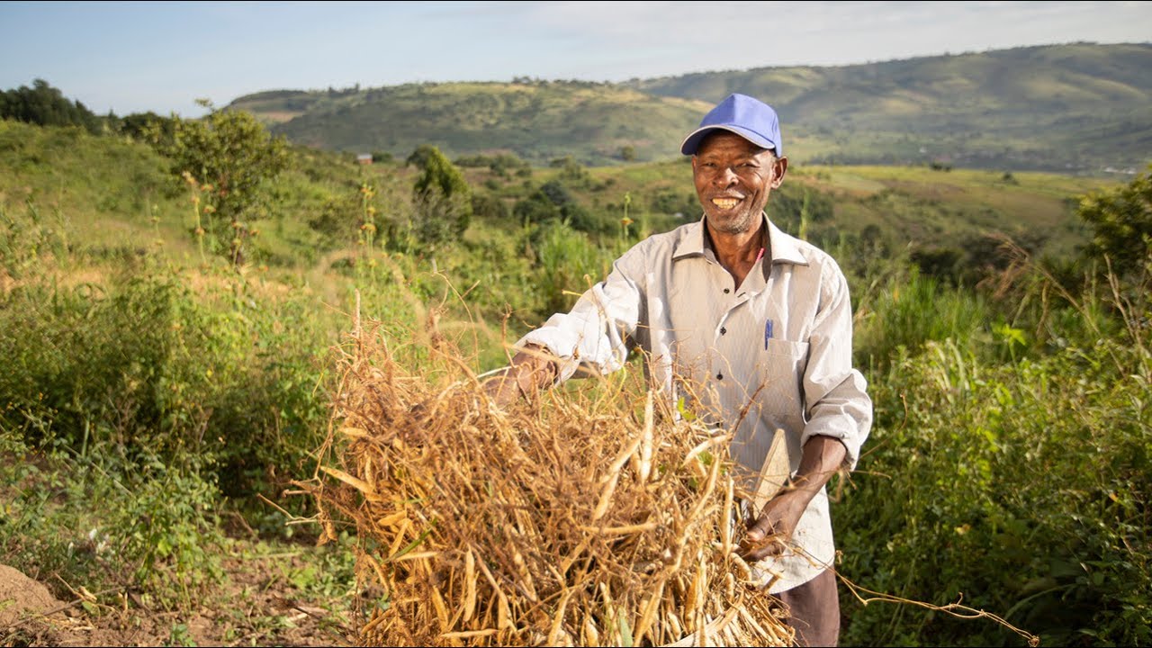 Seed company becomes one of best in Uganda