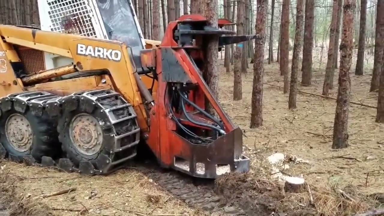 2017 Thinning Red Pine Plantation at Wolf Lake