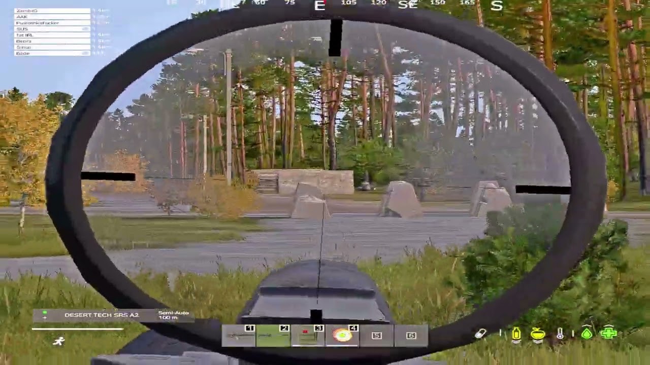 DAYZ MONTAGE #5 (SUS)