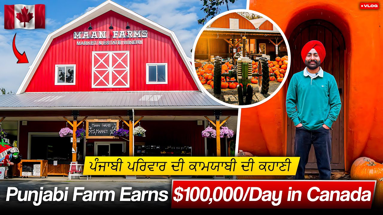 How Punjabi Farm Earns $100,000/Day in 🇨🇦 😱 | Maan Farms Abbotsford, BC 