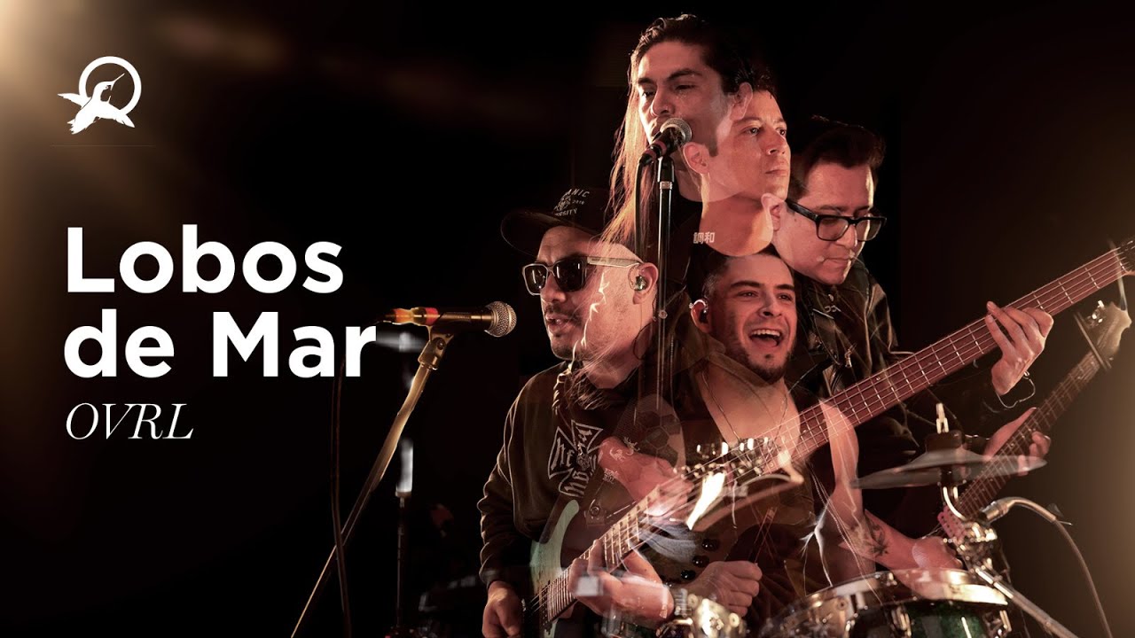 OVRL- Lobos de Mar  (Live Sessions 2026)