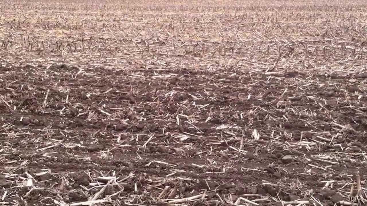 No till vs Vertical tillage vs Conventional tillage