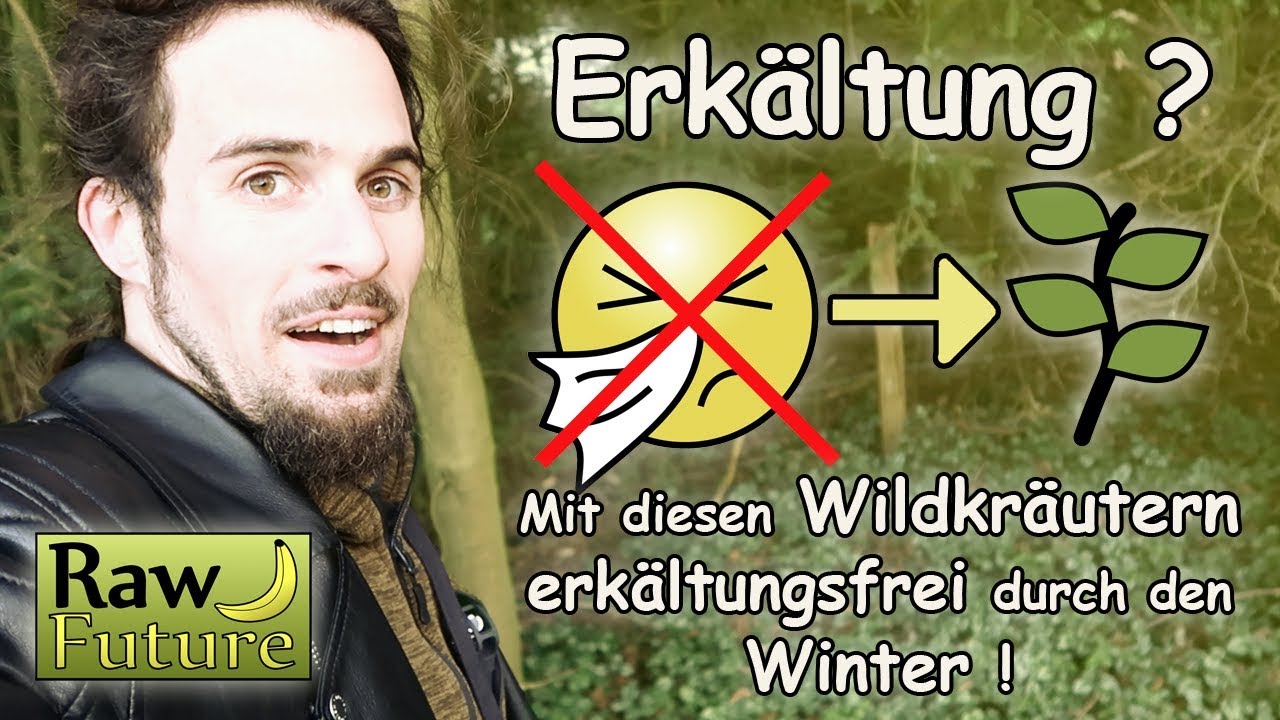 Ohne Erkältung durch den Winter mit diesem Trick! Wildkräuter Säfte als Gesundmacher!