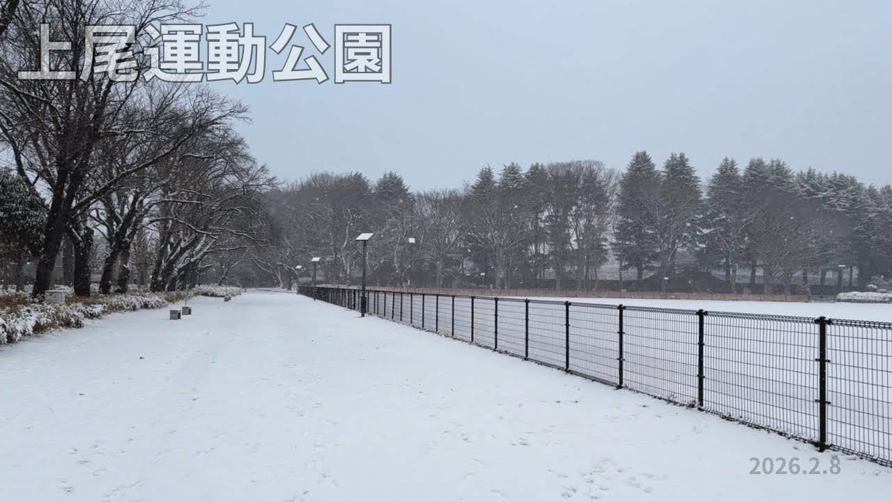 【環境音のみ】早朝散歩｜上尾運動公園｜2026.02.08
