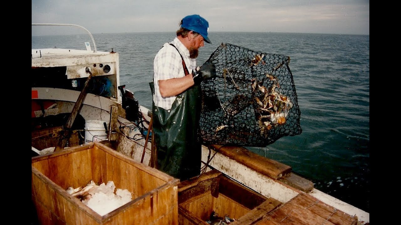 Crabbing on Ocracoke Island, NC (1991)
