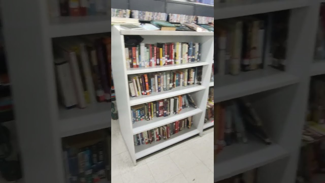Thrifting At Goodwill in Erie, Pennsylvania