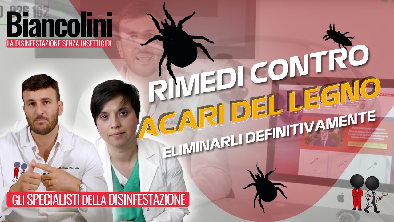 ❓🍀Acari del legno: come eliminarli definitivamente❓🍀