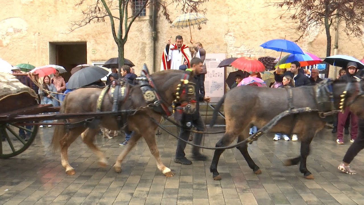 VOTV - Caldes de Montbui celebra la passada de Sant Antoni passada per aigua