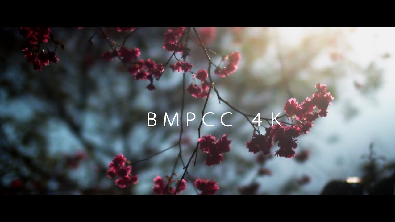 BMPCC 4K + SLR Magic 25mm t0.95