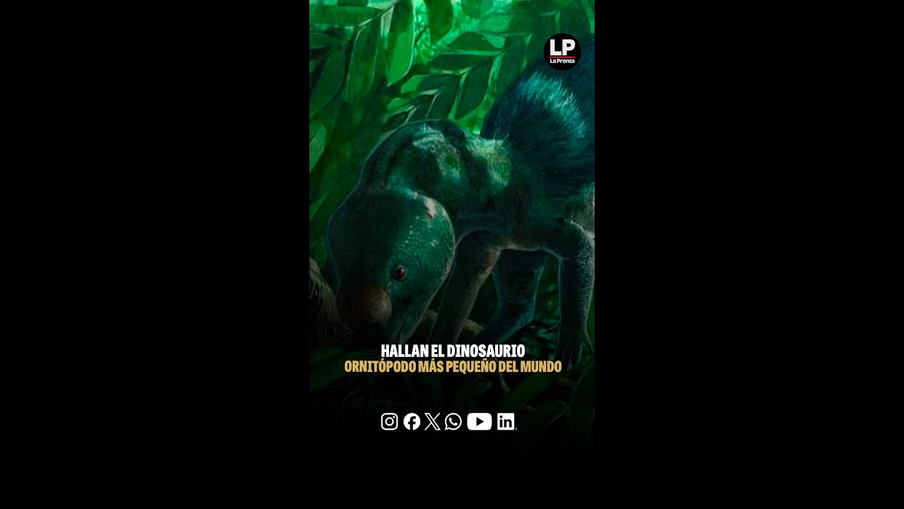 Hallan el dinosaurio ornitópodo más pequeño del mundo: medio metro y 125 millones de años