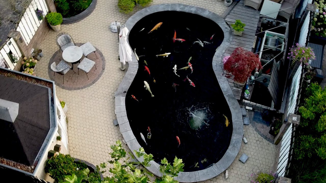 DRUM FILTER, AIR LIFT & KOI POND TOUR