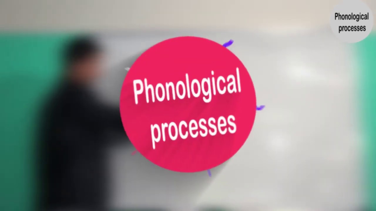 Phonological processes, palatalization and labialization.