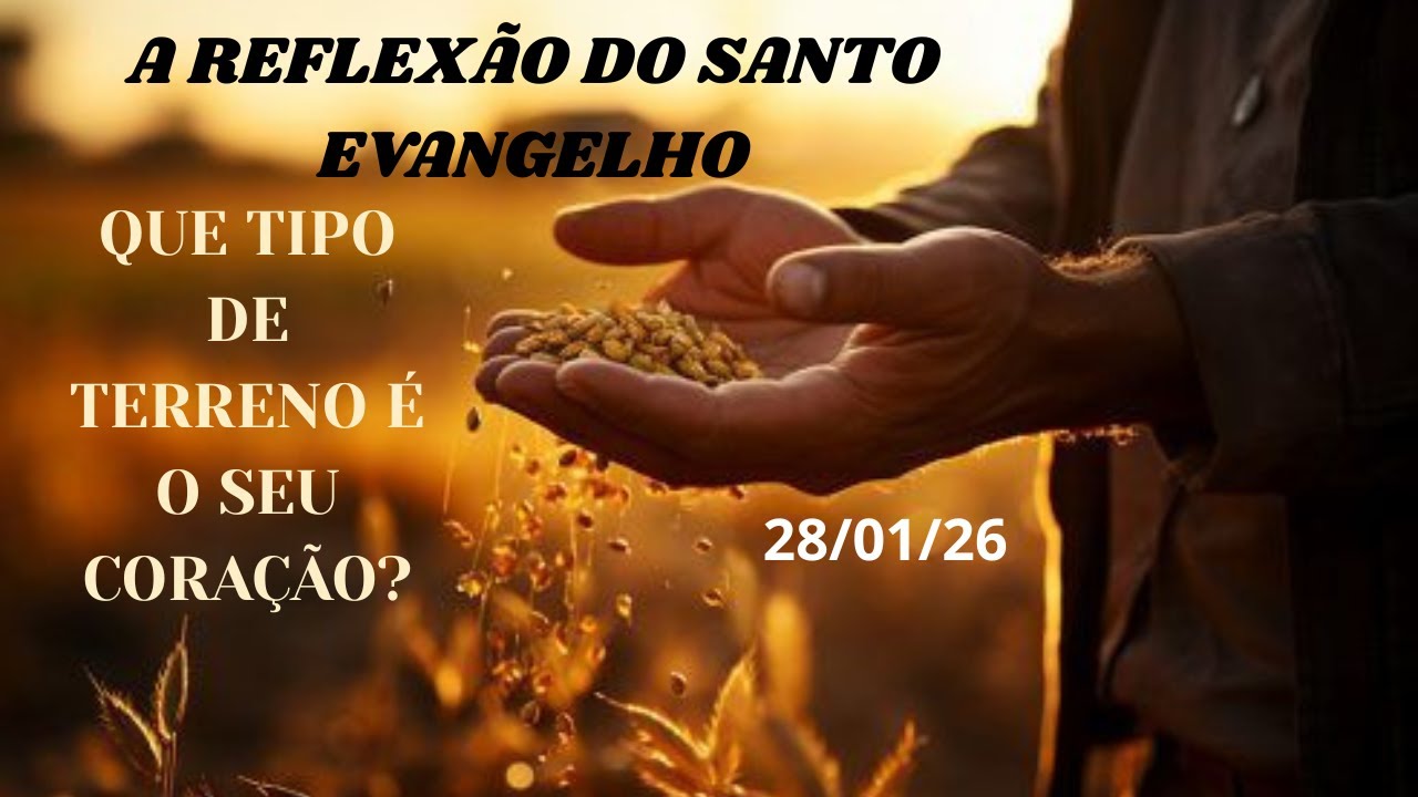 UMA REFLEXÃO ESPECIAL DA PARÁBOLA DO SEMEADOR | LITURGIA DIÁRIA !