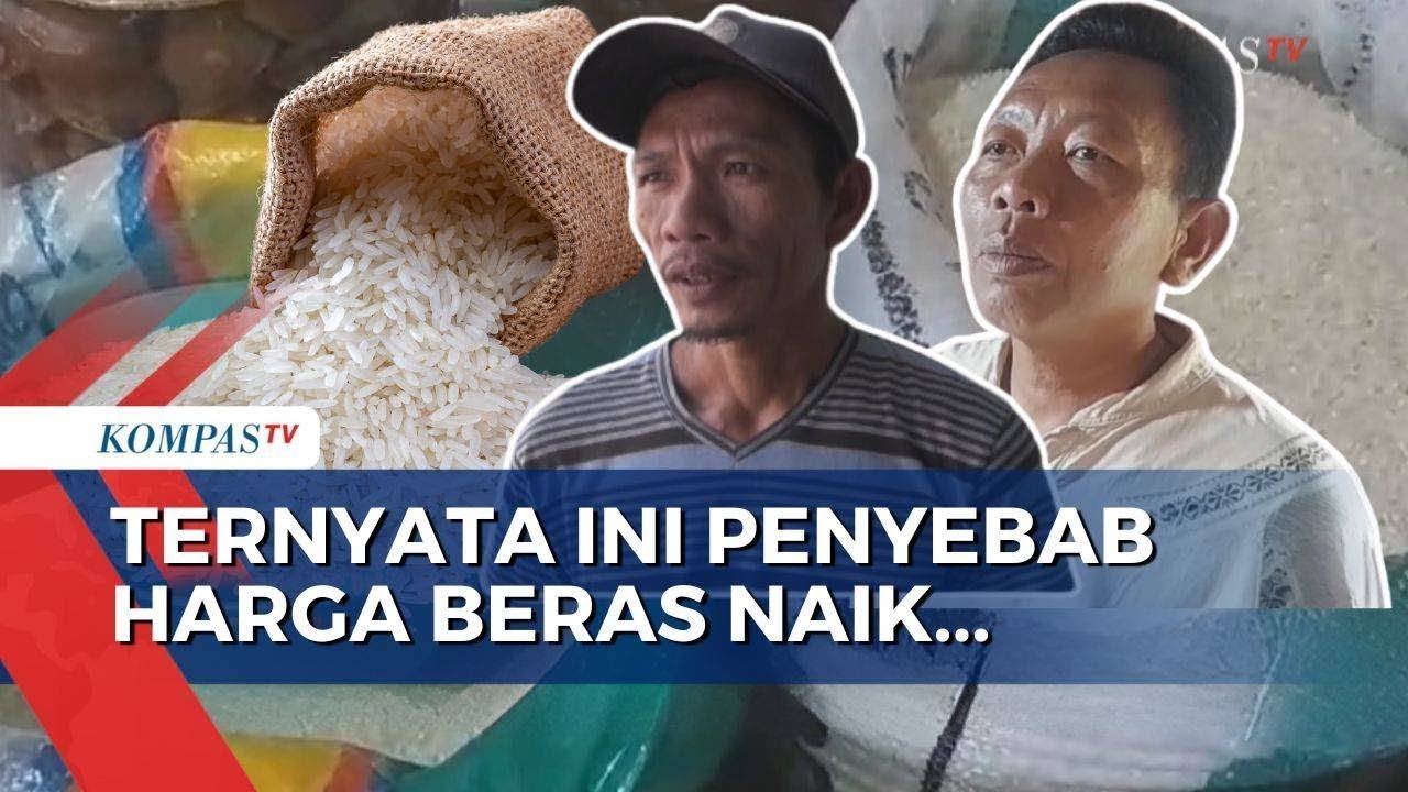 Harga Beras Naik Diduga Akibat Cuaca Buruk dan Harga Gabah Tinggi