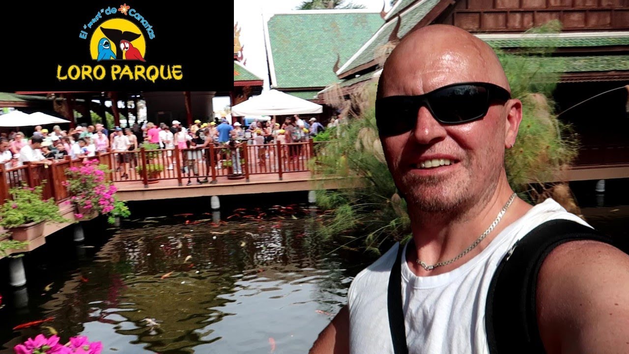 Finding The Biggest Koi Pond In Tenerife **Loro Parque**