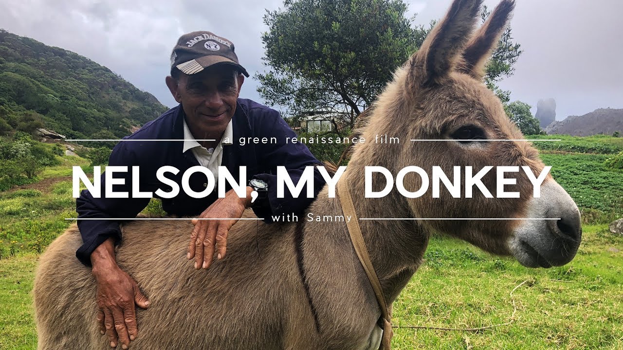 The Last Traditional Farmer: His Timeless Wisdom from Island Life