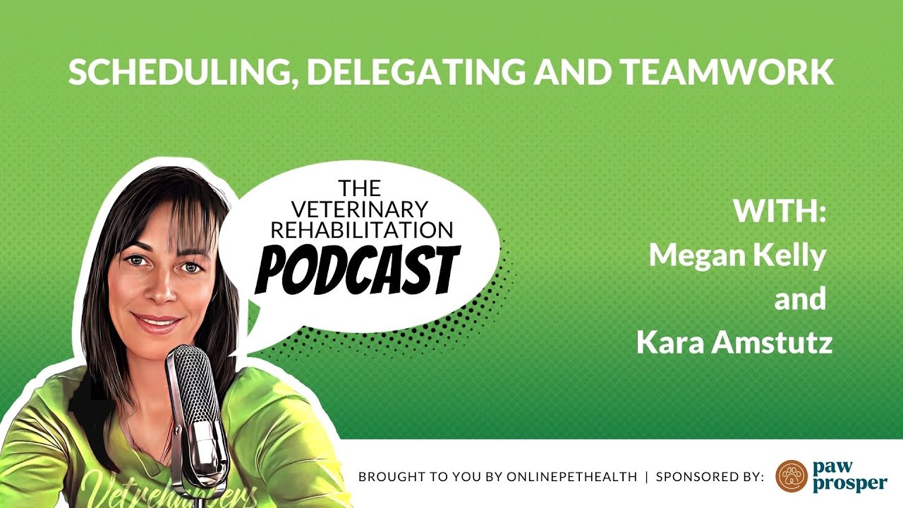 Scheduling, delegating and Teamwork, with Kara Amstutz