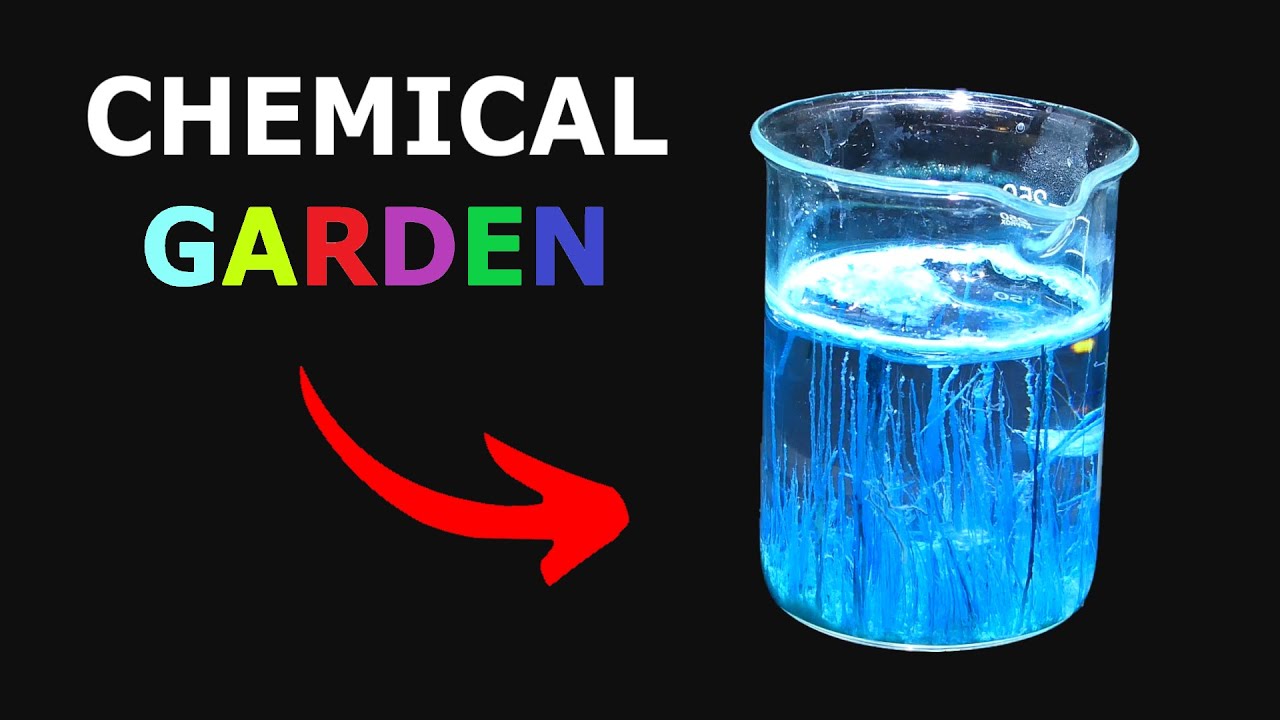 Making a Chemical Garden