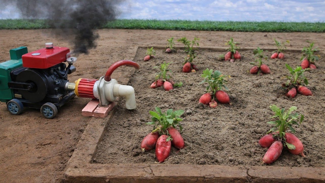 Mini Tractor Water Pump for Fruit Farming | DIY Agricultural Science Project/#sojocreator 