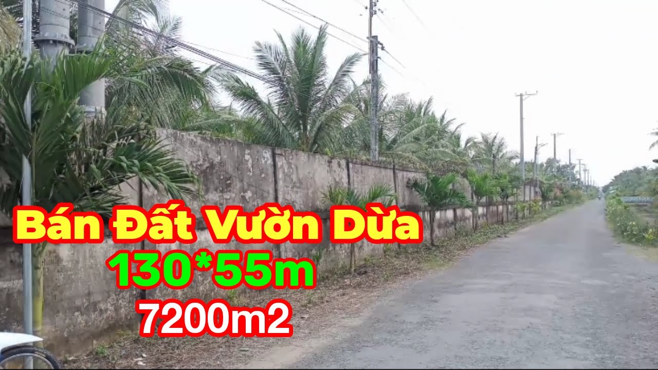 Thành Hiếu Nhà Đất Cầu Kè, Trà Vinh. Bán Đất Vườn Dừa , mặt tiền đường nhựa. DT 130*55m