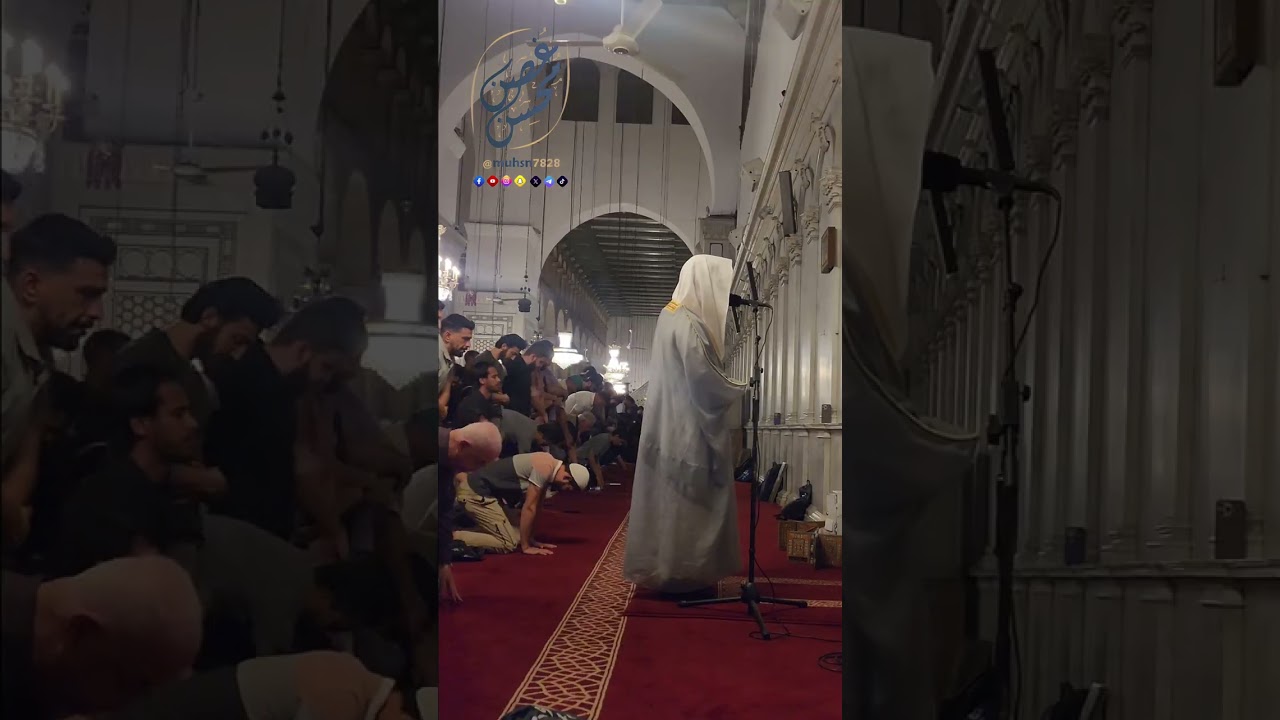 #عشائية في المسجد الأموي #دمشق |محسن غصن|  1446 هـ