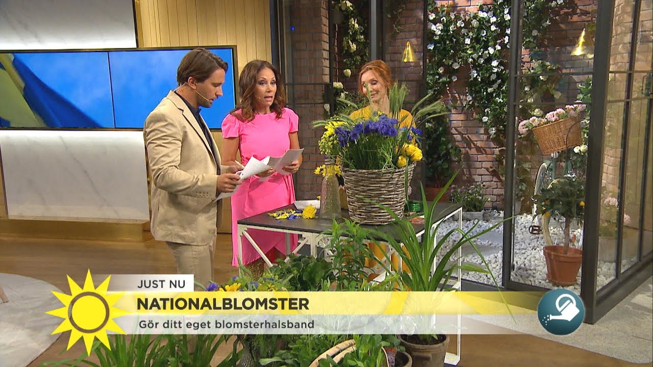 Malin lever med OCD 
