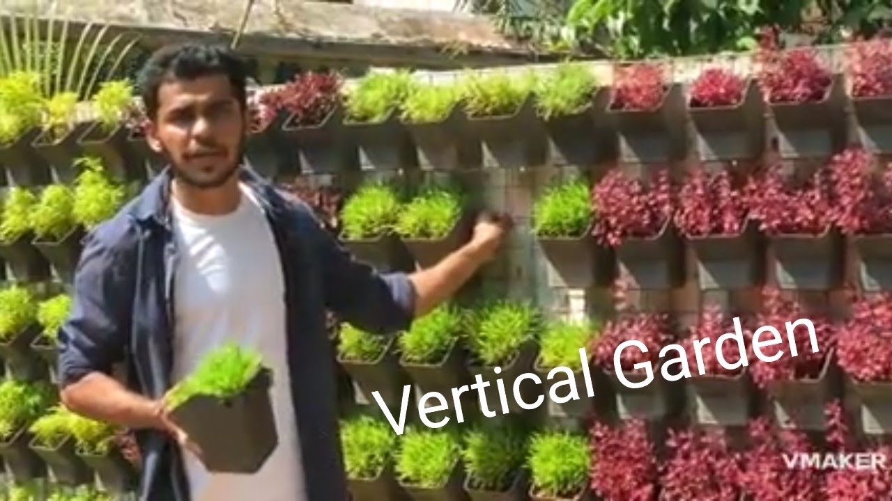 Vertical Garden
