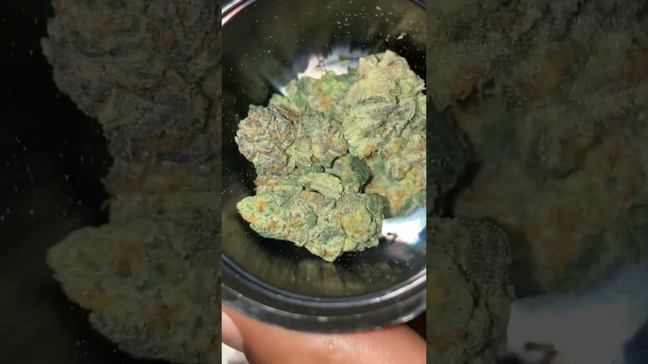 SIMPLY HERB SLURTY 3 STRAIN 2024