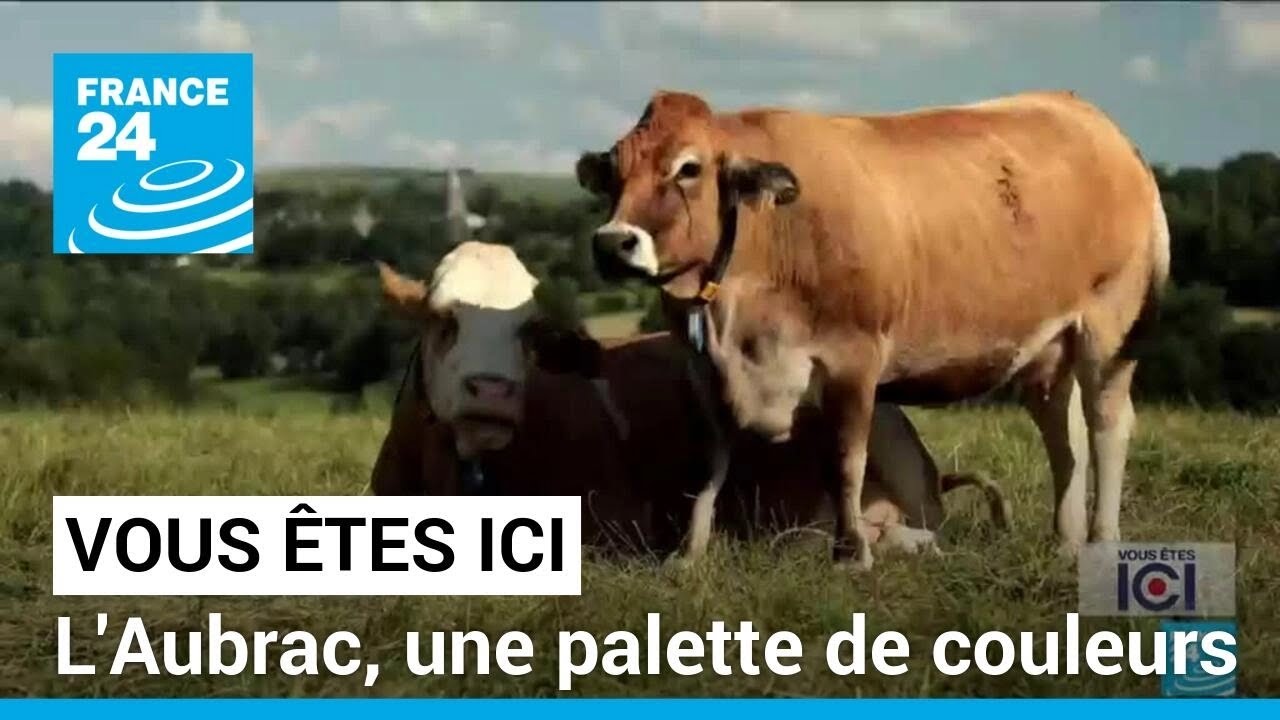 L'Aubrac, une palette de couleurs • FRANCE 24