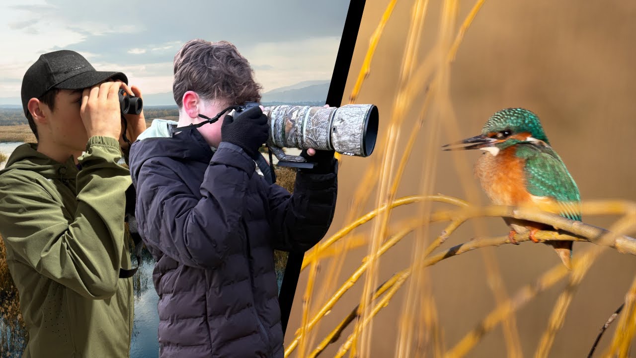 These UK birds are master fishers! - 1.1