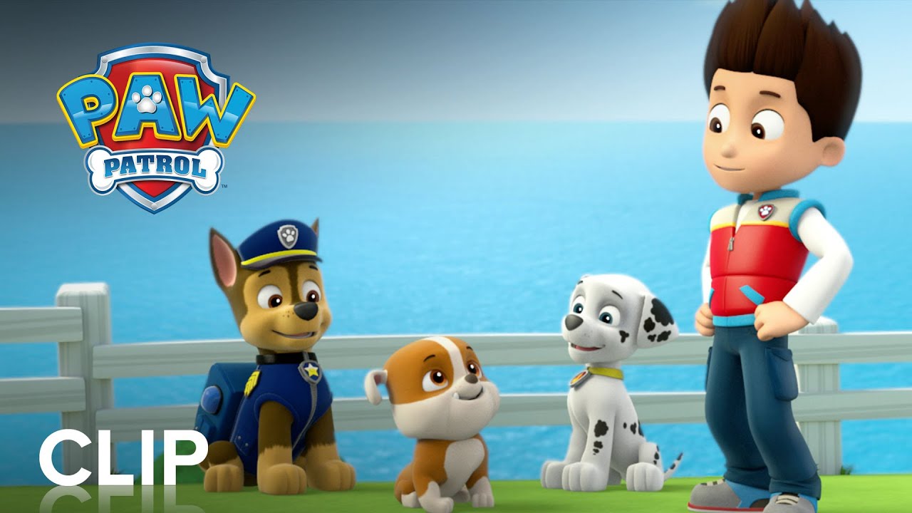 PAW PATROL: RUBBLE ON THE DOUBLE |  