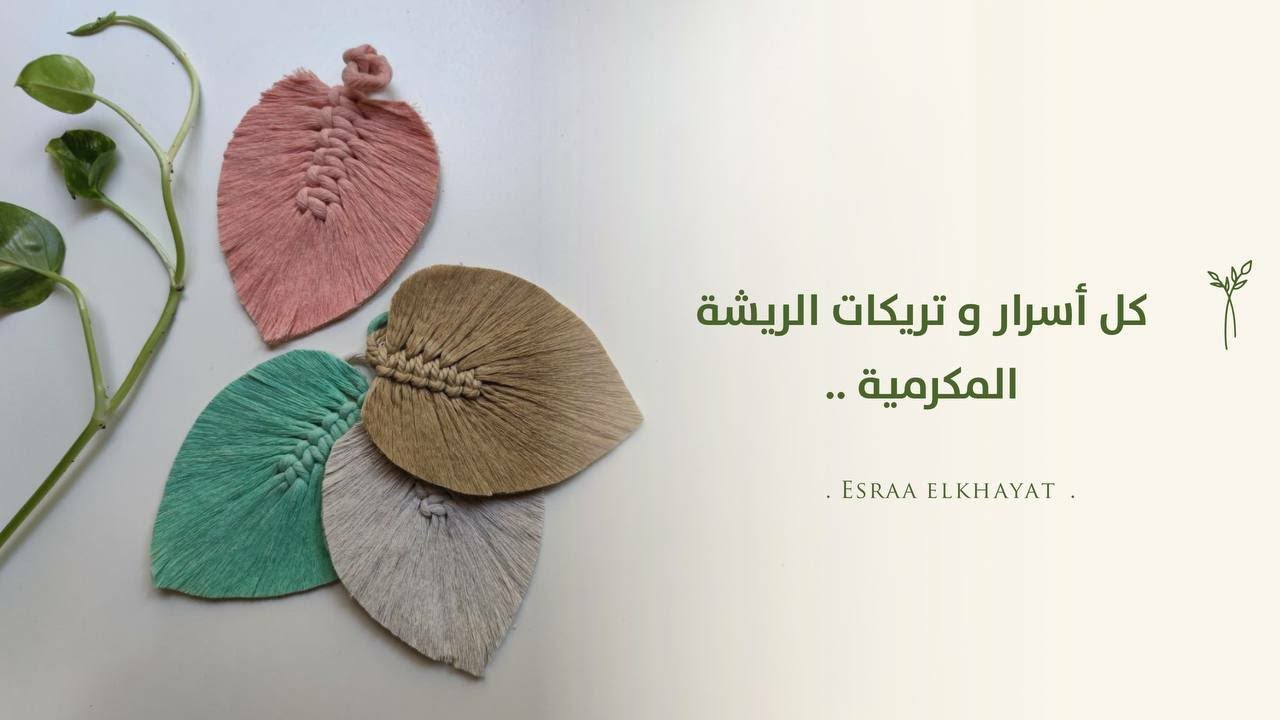 كل المعلومات عن الريشه المكرميه اسرارها وتركاتها