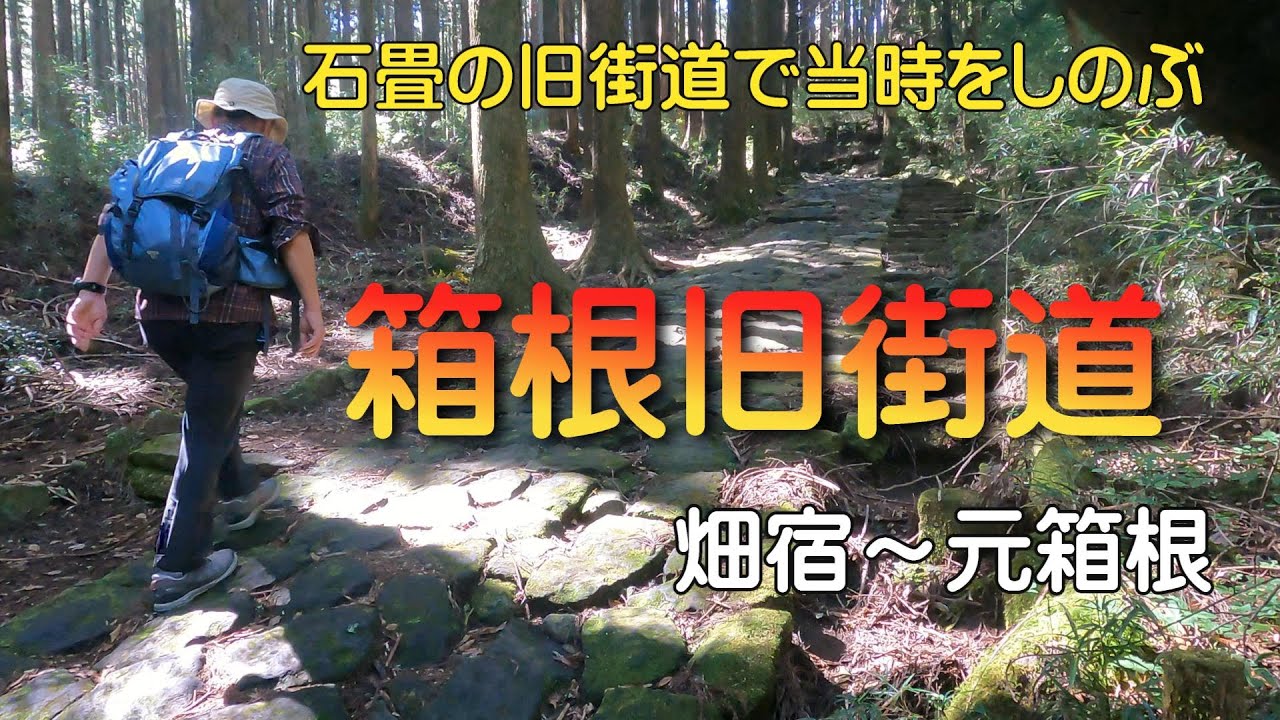 【箱根旧街道】畑宿から元箱根まで石畳の残る街道を歩きました