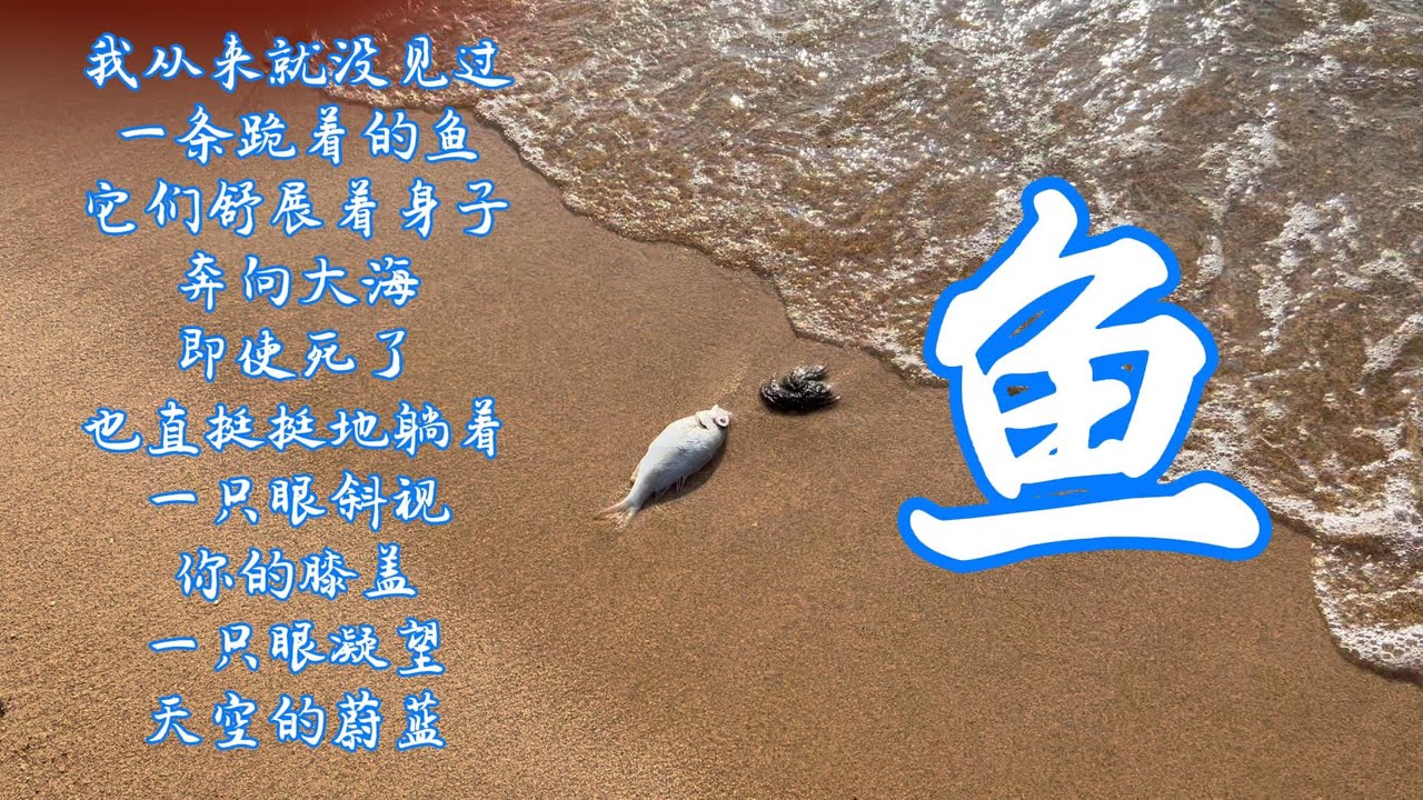 鱼-高清版