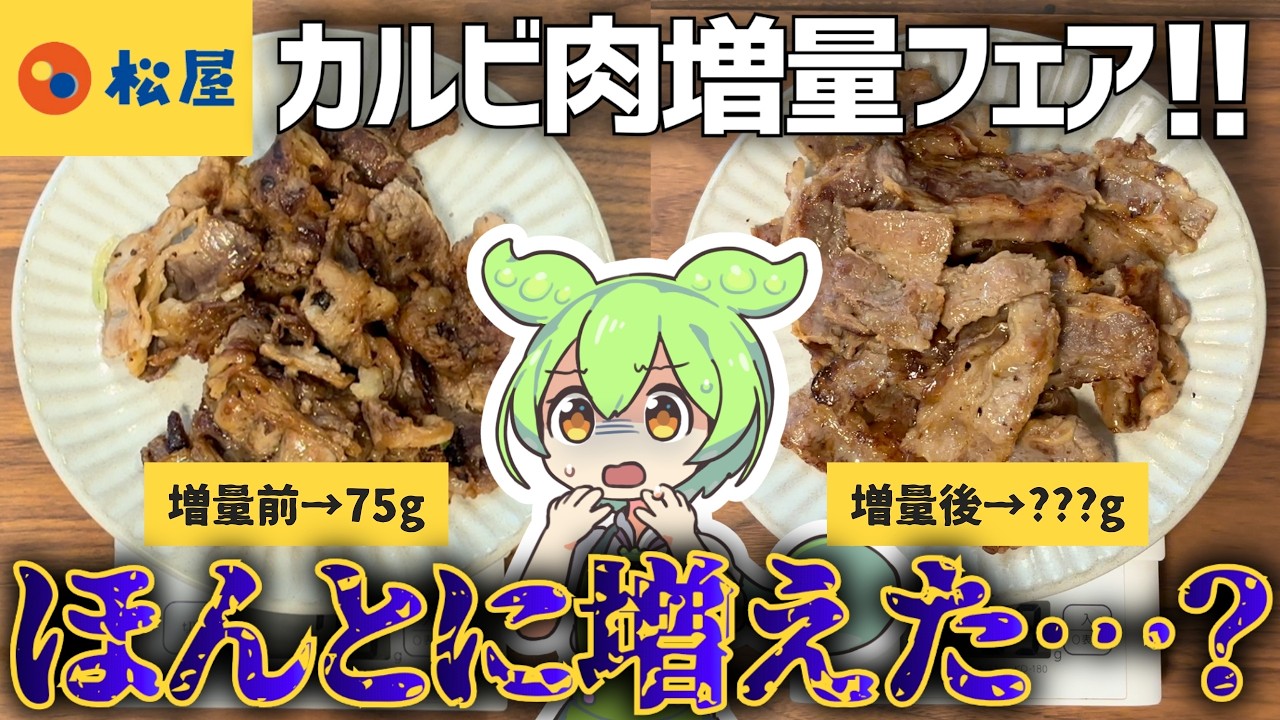 【緊急監査】松屋のカルビ焼肉増量フェアを徹底検証した男の末路・・・