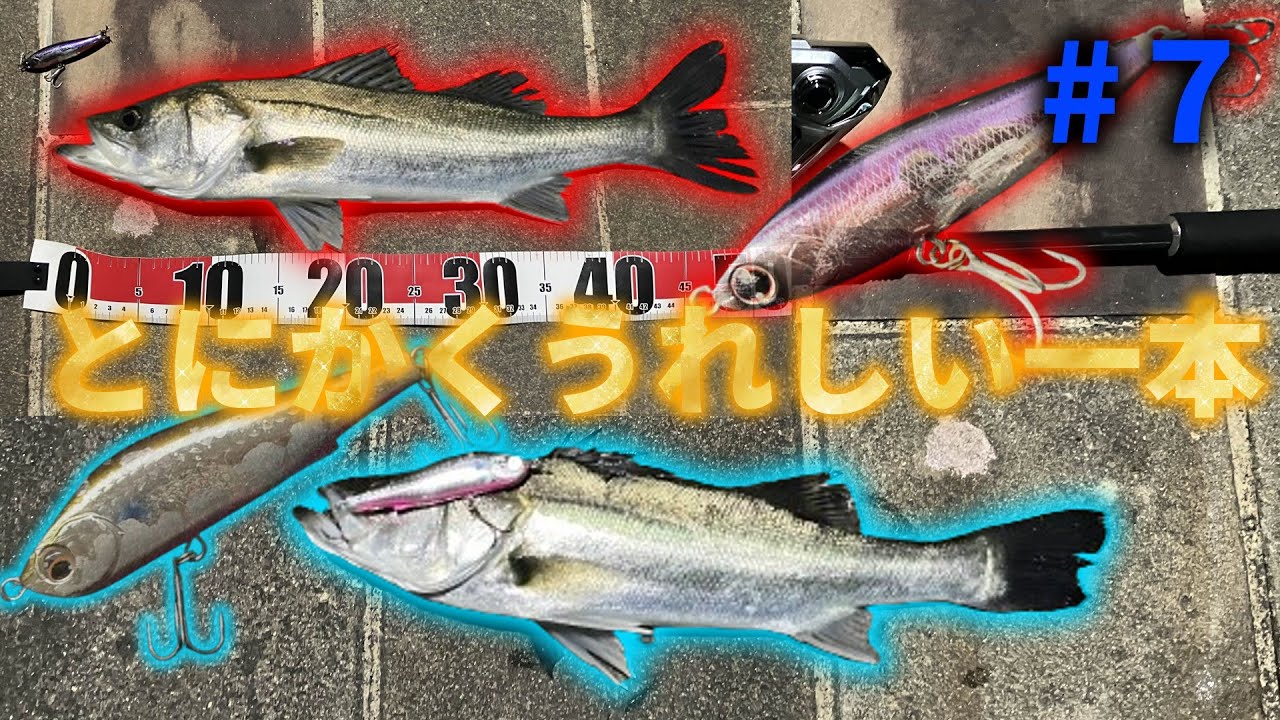 追い込まれた中での感動の魚！【シーバス釣行#７】