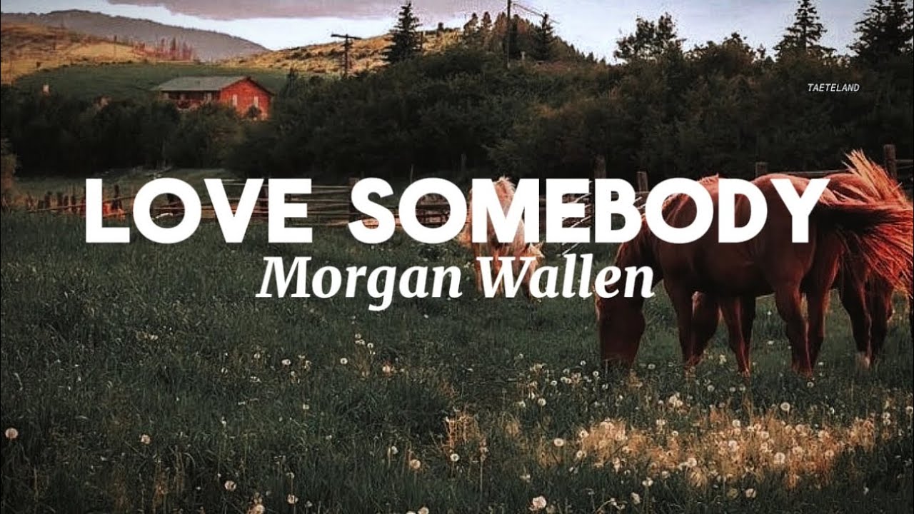 Morgan Wallen - Love Somebody (lyrics)