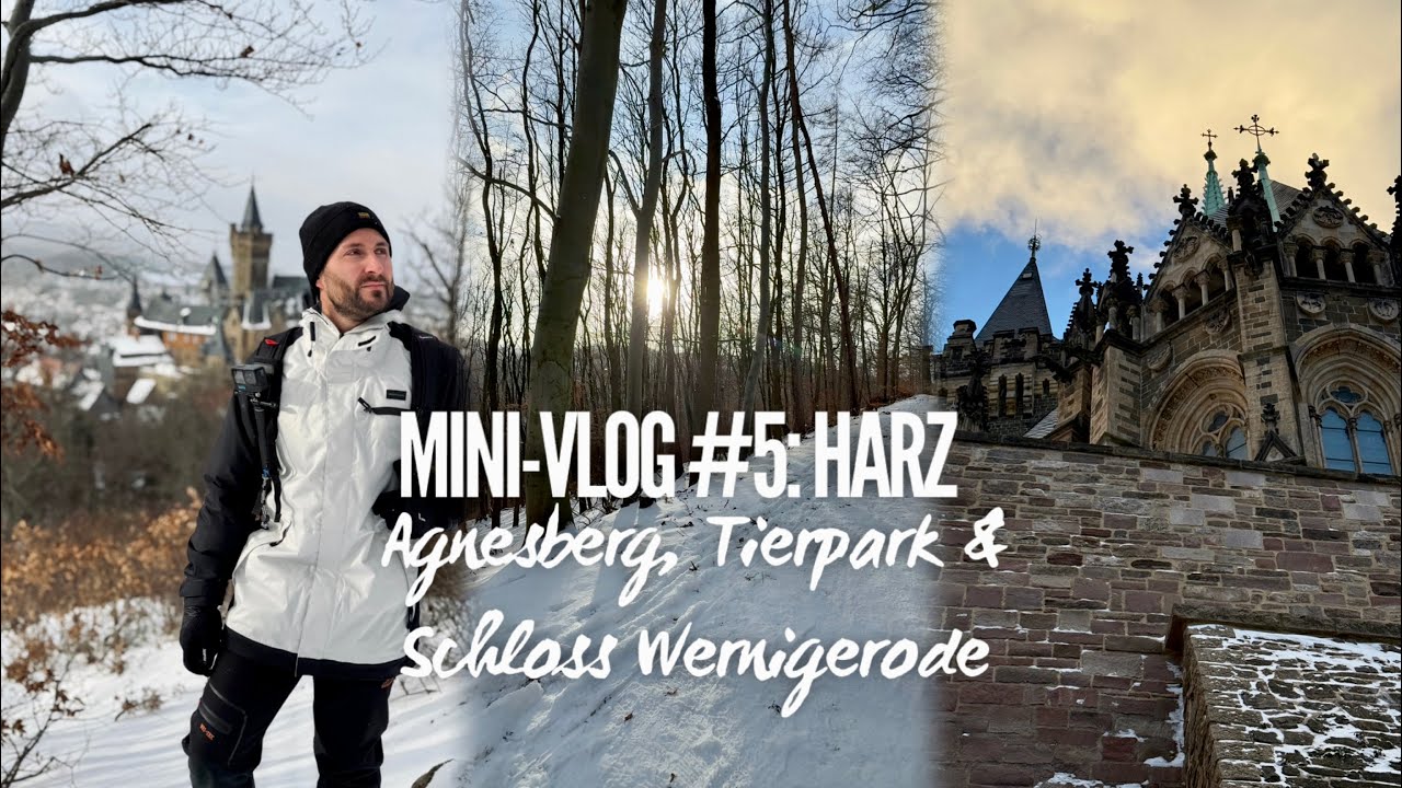 Harz Vlog #5:  Wernigerode - Agnesberg, Tierpark und Schloss