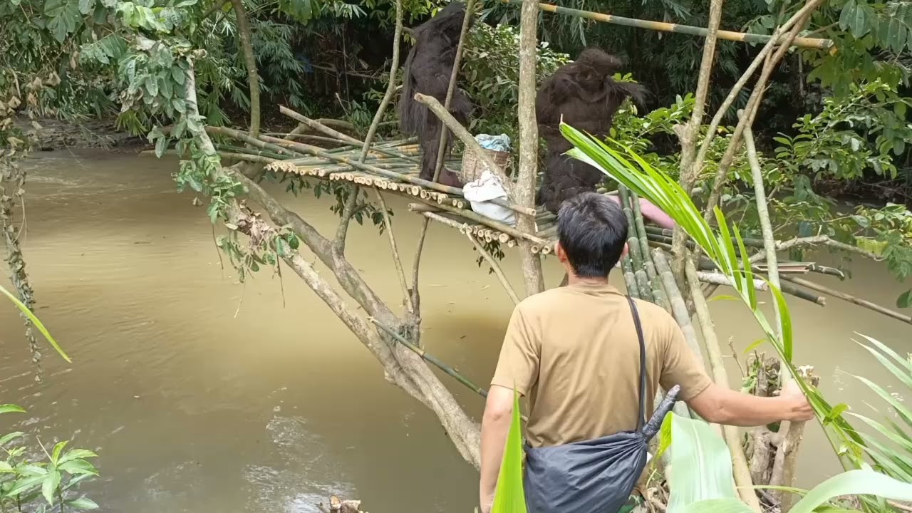 VIRAL 2026❗❗ SUKU MANTE MUNCUL TIBA TIBA DI RUMAH POHON 