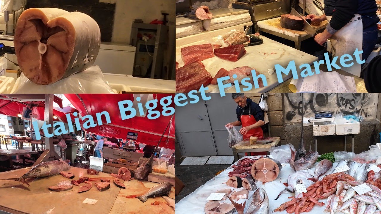 Italy’s Biggest Local Fish Market | Seafood Heaven in Italy