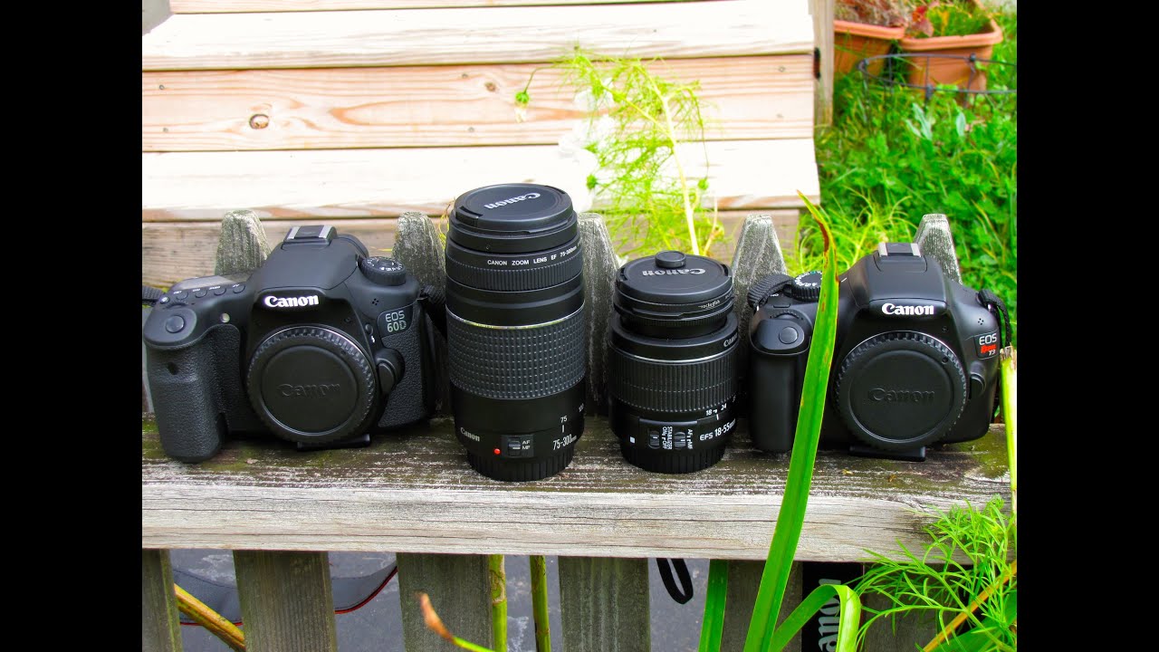 Canon 18-55 мм против 75-300 мм