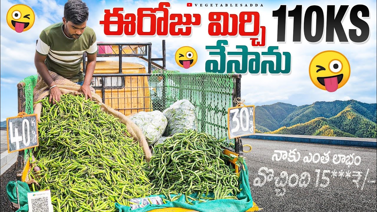 మిర్చి 25₹ kg లెక్క 110kgs వేసాను నాకు ఎంత లాభం 😜🌶️🔥15***/–//#bowenpally #vegetables #vantimamidi 