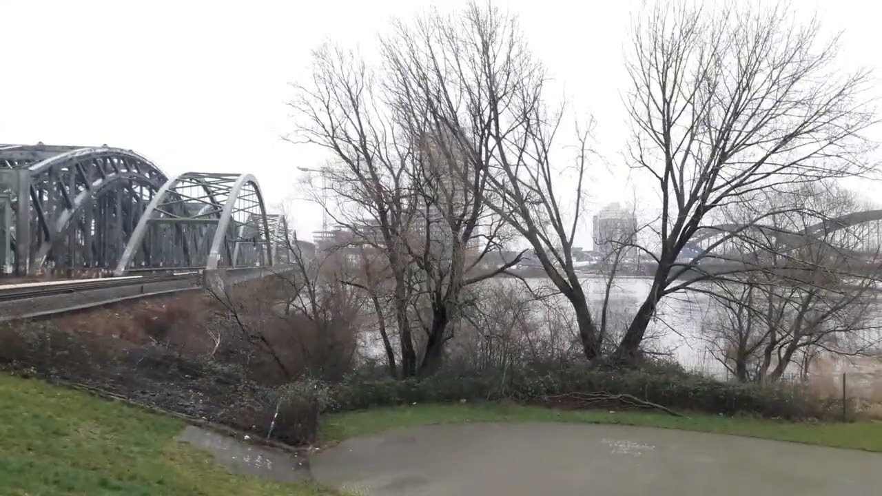 Baustellen im Nieselregen | Veddeler Elbdeich