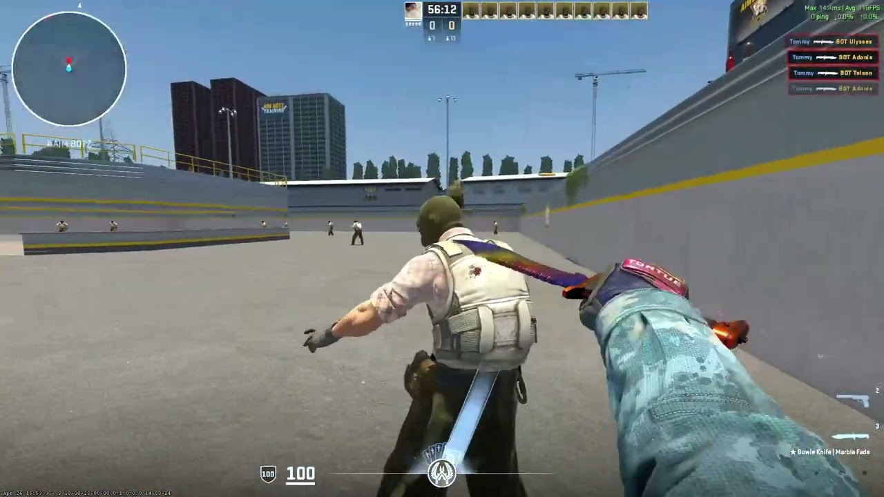 CS2: Bowie Knife Marble Fade (FN) and Specialist Gloves Marble Fade (WW) Combo.