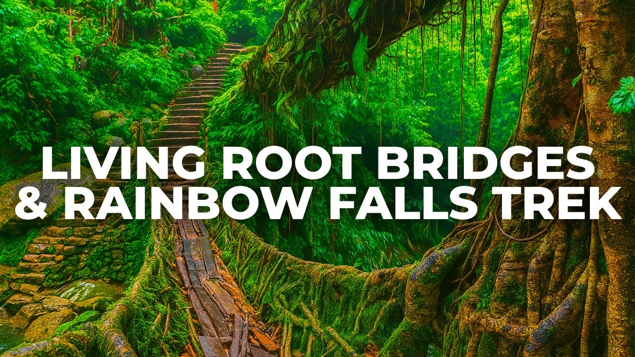 Living Root Bridge Trek Guide with Rainbow Falls Adventure