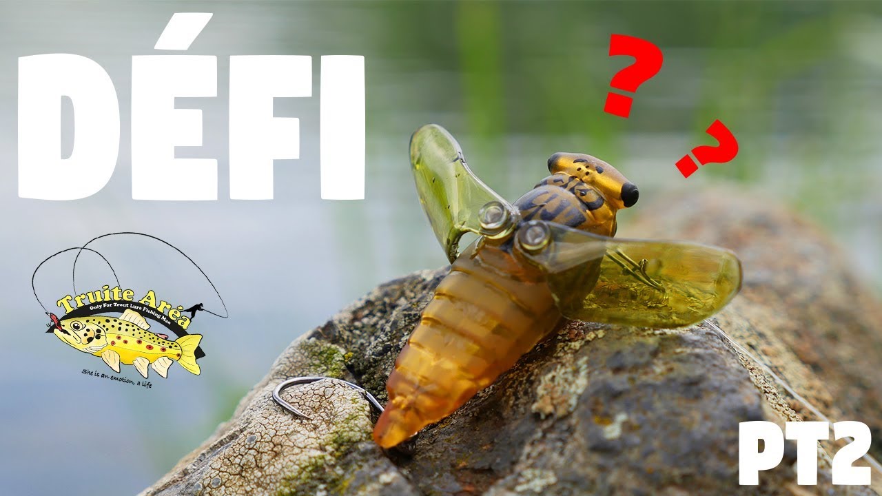 Défi pêche: Leurres BIZARRES à TRUITE ARÉA (réservoir) ! Pt.2