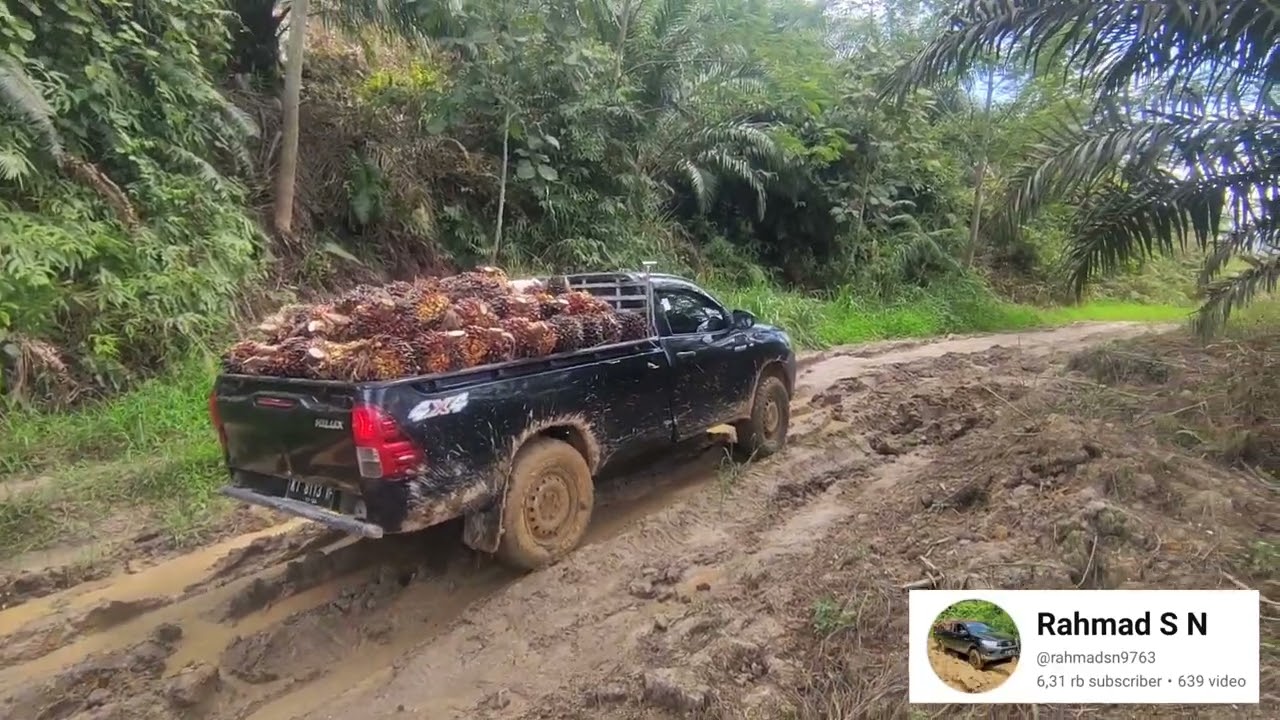 semangat kawan demi cuan perjuangan Hilux langsir sawit