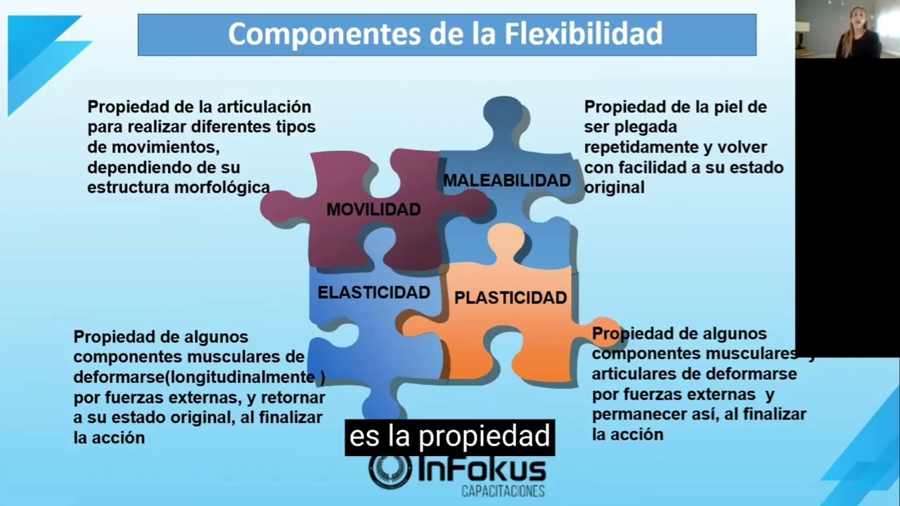 COMPONENTES DE LA FLEXIBILIDAD