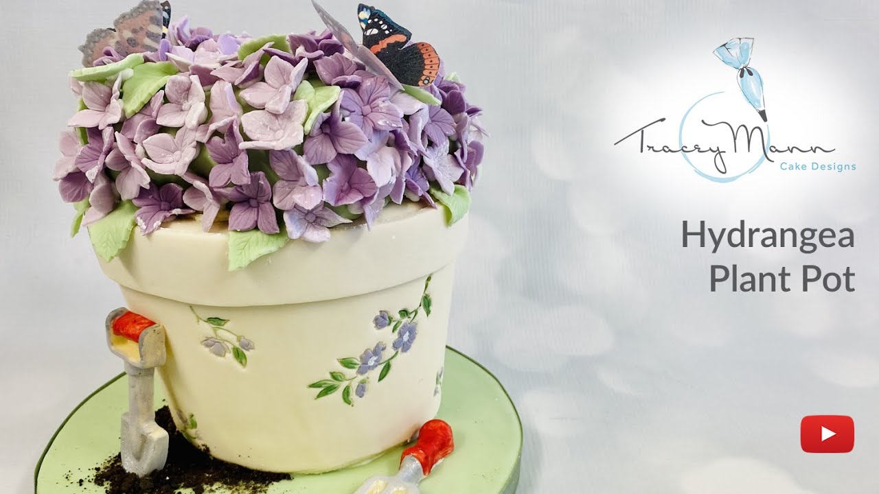 Hydrangea Plant Pot Cake with Tracey Mann