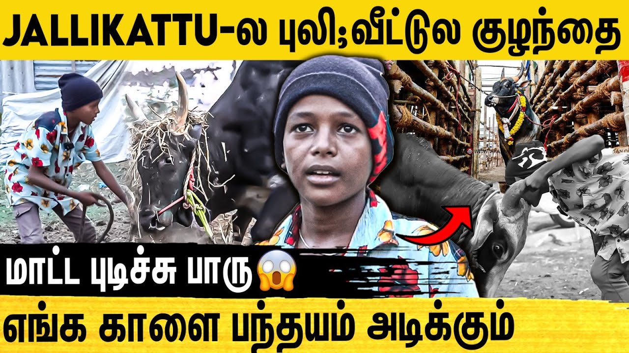 🔴களத்தில் அலற விடும் காளைகளை நண்பனை போல வளர்க்கும் சிறுவன் | Jallikattu Kalai | Madurai